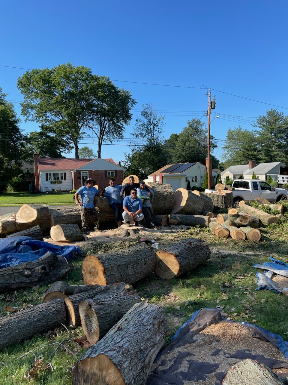 Antonio Landscaping crew on a tree removal job